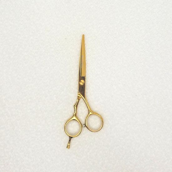 Ayty Pro Pro Scissor 5.5