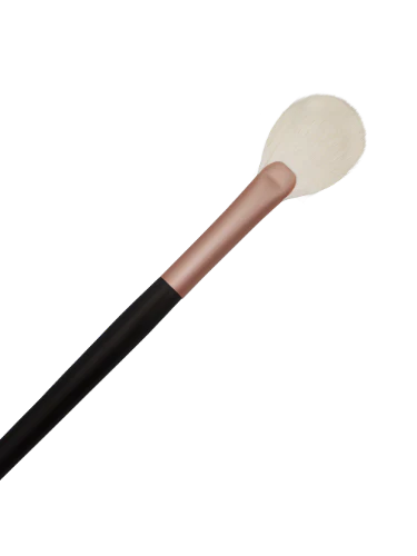 Ay.ty Pro Fan Brush