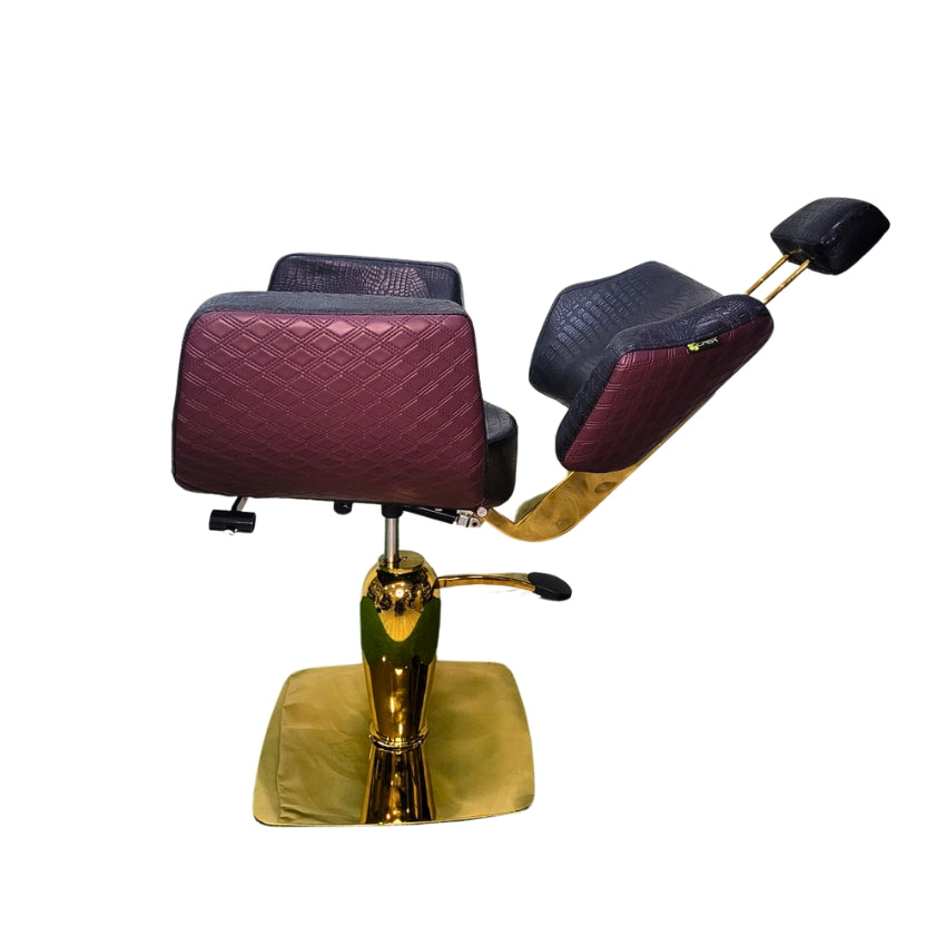 Casa Barber Chair Series - Black Vine (Model CS1040)