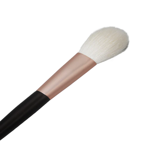 AY.TY Pro Blush Brush