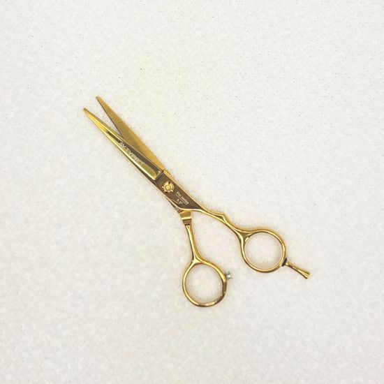 Ayty Pro Pro Scissor 5.5