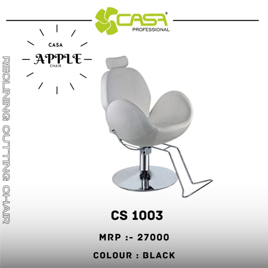 Casa CS 1003 Hair Cutting Chair