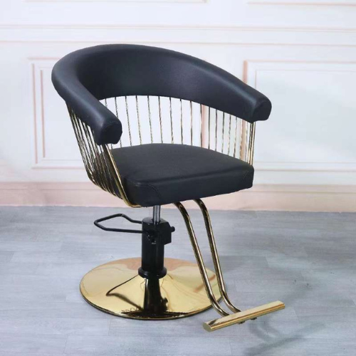 Casa Fixed Back Chair (Model CS 1063)