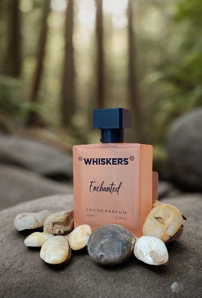 Whiskers Enchanted Eau De Parfum 100ml