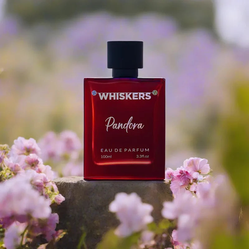 Whiskers Pandora Eau De Parfum 100ml